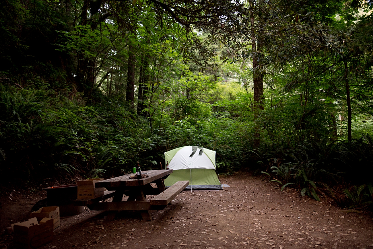 Best Hikes in the Redwoods, Camping in Redwoods National Park, Redwoods Travel Guide, Travel Photographer